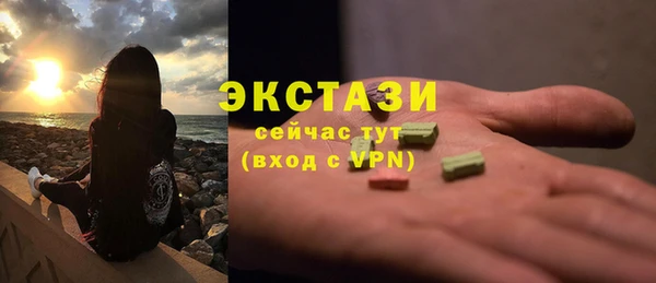 ECSTASY Богородицк